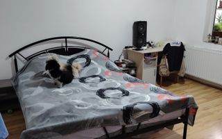 Steaua | 4 Camere |  Etaj 1 | Bloc Izolat | Centrala Proprie - Poză 2