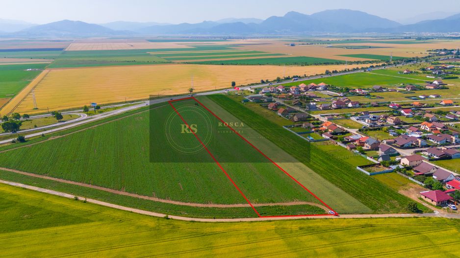 Teren 15.600 mp | Harman, Brasov - Poză 6