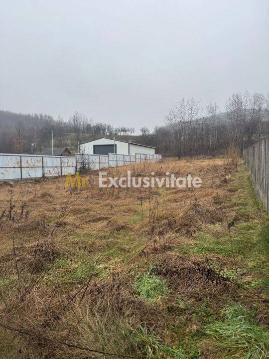Teren 1758 mp DN7 - Prislopu Mare, Draganu! - Poză 5