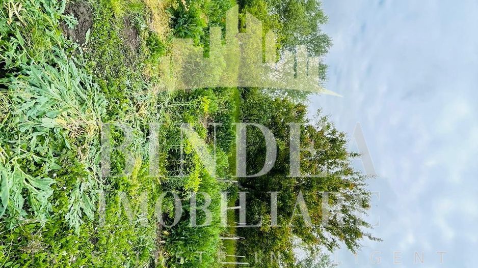 Casa individuala Covaci- 1000mp teren - Poză 3