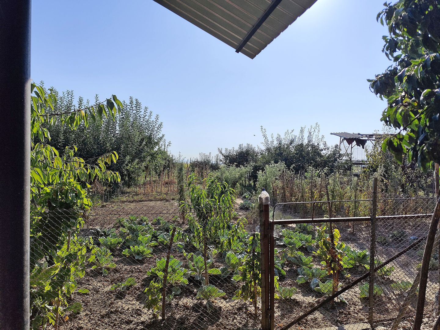 Casa la tara in Sacadat, Bihor, teren 2826 mp, acces auto - Vanzare - Poză 18