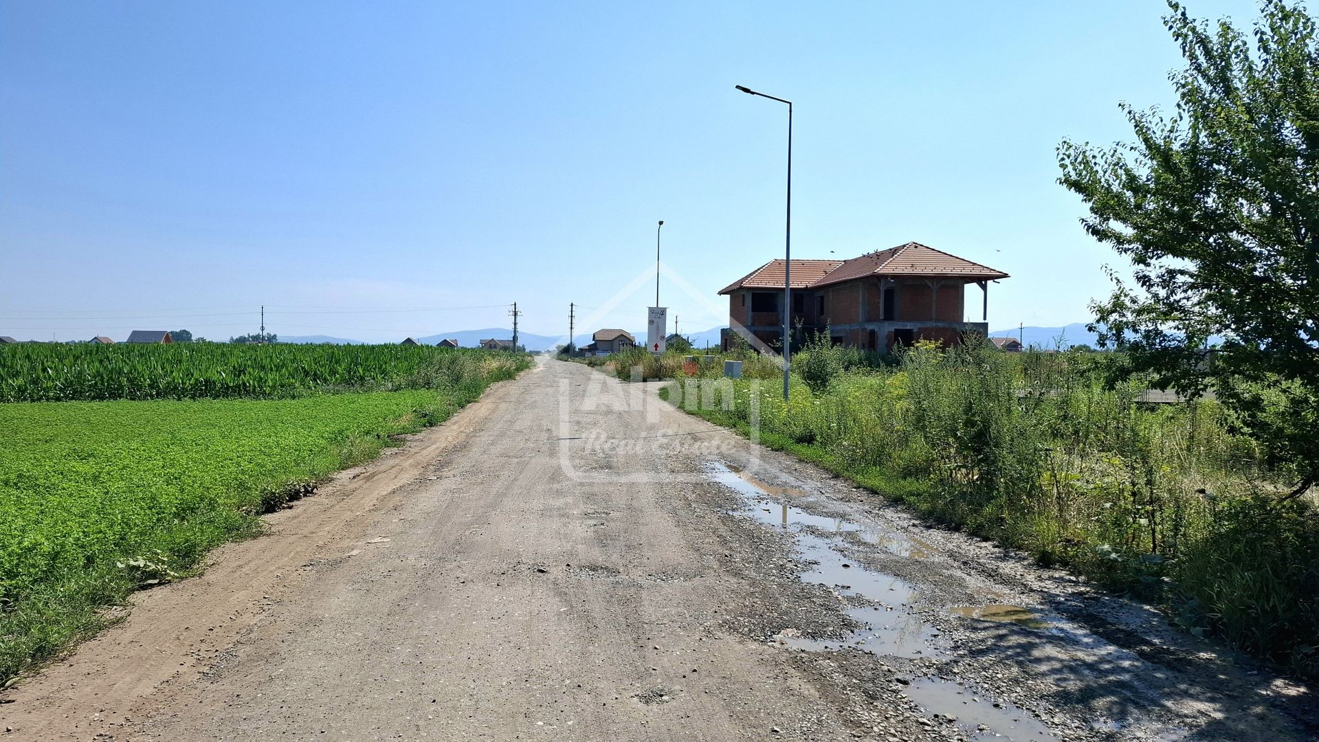 Terenuri Intravilane  Harman - Poză 2