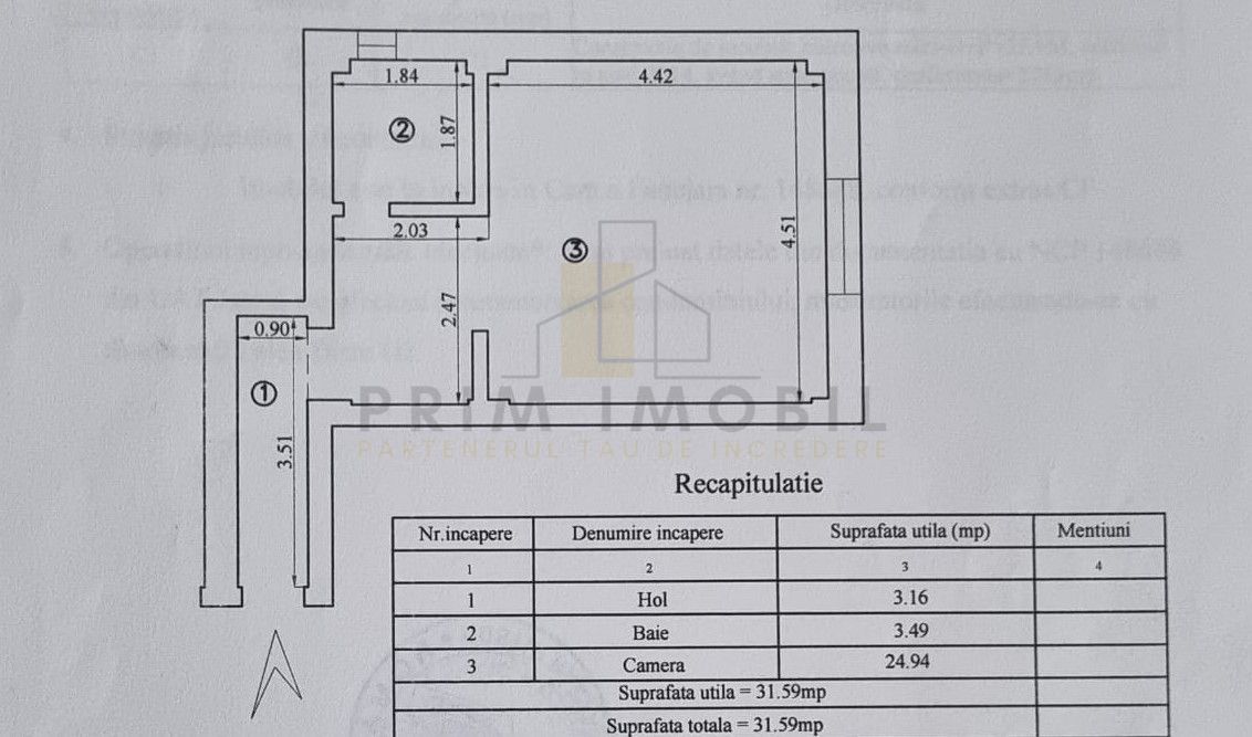 Studio, bloc nou, intabulat, Tatarasi - 2 baieti - Poză 13