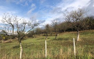 Teren intravilan parcelabil, cartier RAAL , 38 ari - Poză 5