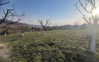 Teren 3100 mp-livada-ideal casa-Mititei - Poză 6