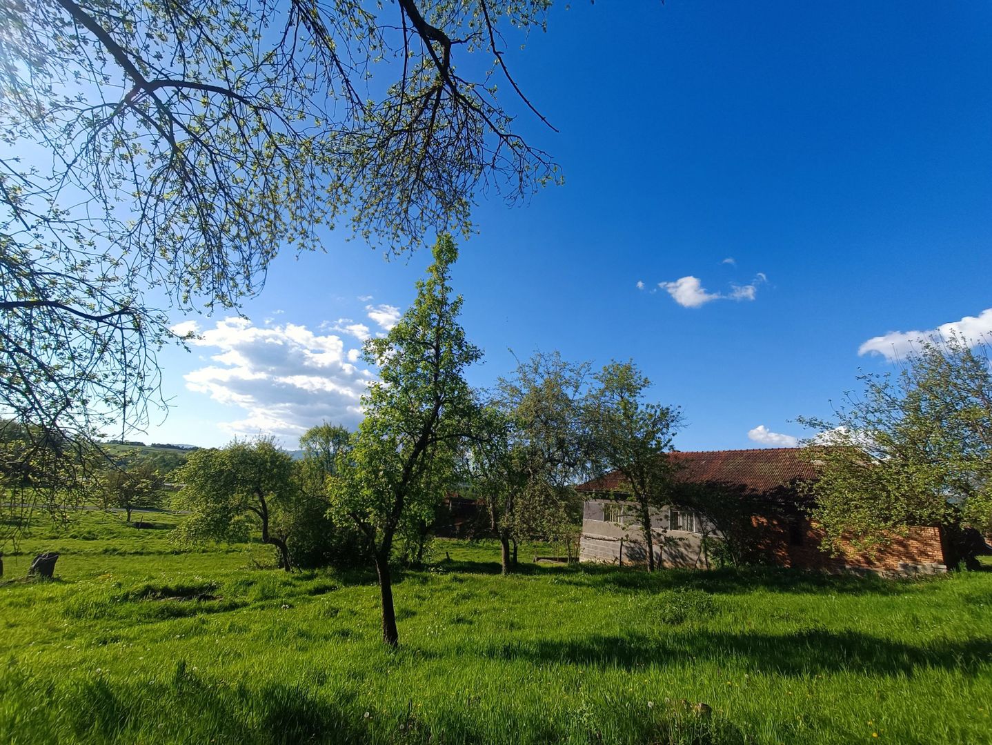 Descoperă căsuța ta de vis la poalele Munților Apuseni - Poză 24