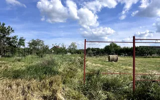 Casa cu anexe si pivniță | Teren intravilan generos | Sannicolau Roman - Poză 25