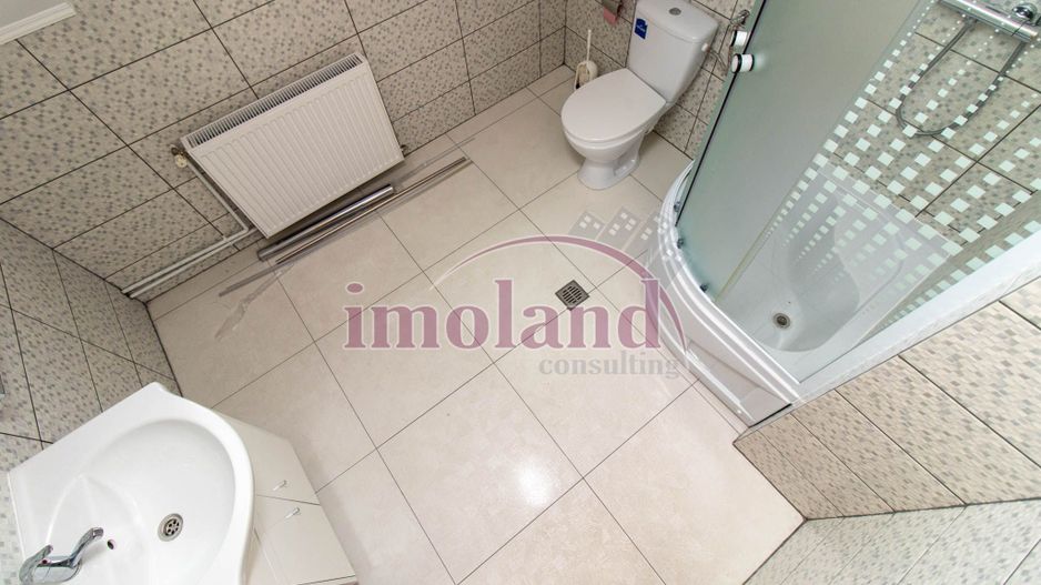 Inchiriere - Rezidenta/Birouri - Vila cu curte - Aviatorilor - Poză 29