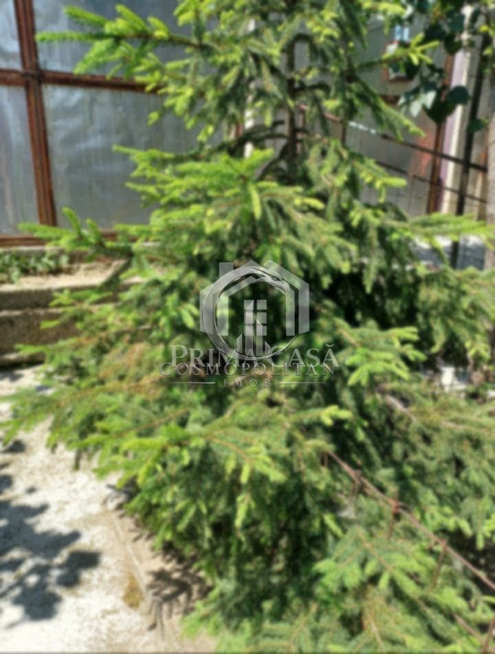 Casa zona Dorobanti teren 500mp toate utilitatile 58.000 euro - Poză 6