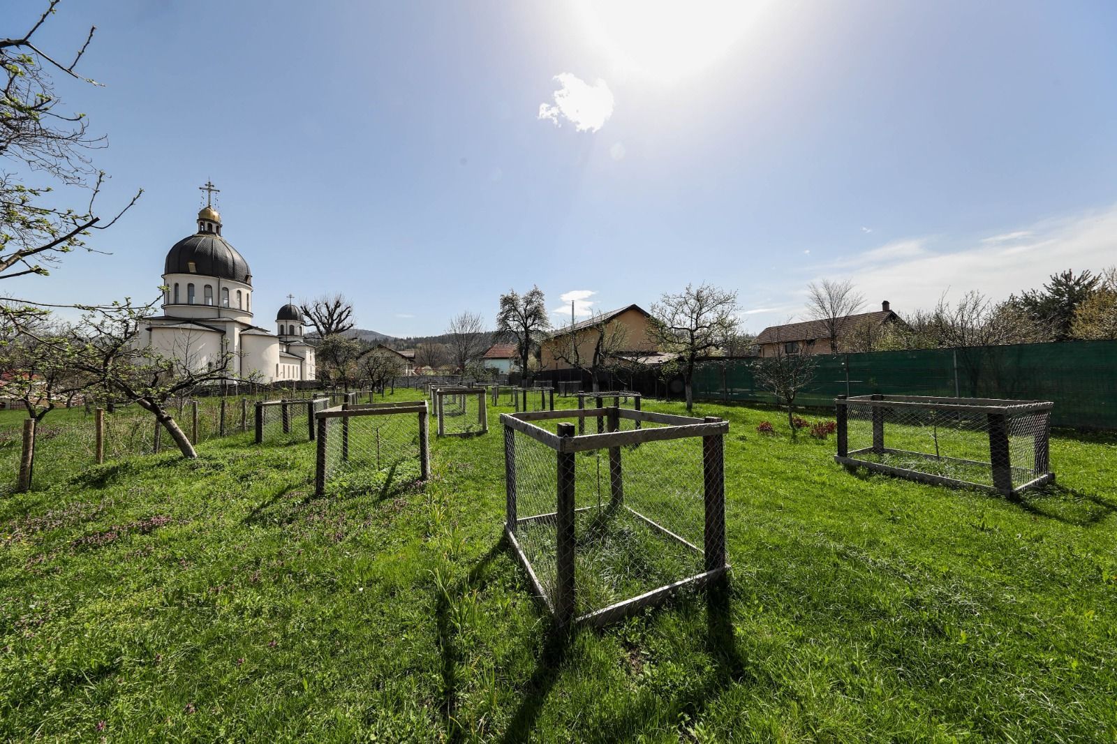 Casă Săsească Autentică cu Șură Impresionantă în Cristian – Teren 2729mp - Poză 11