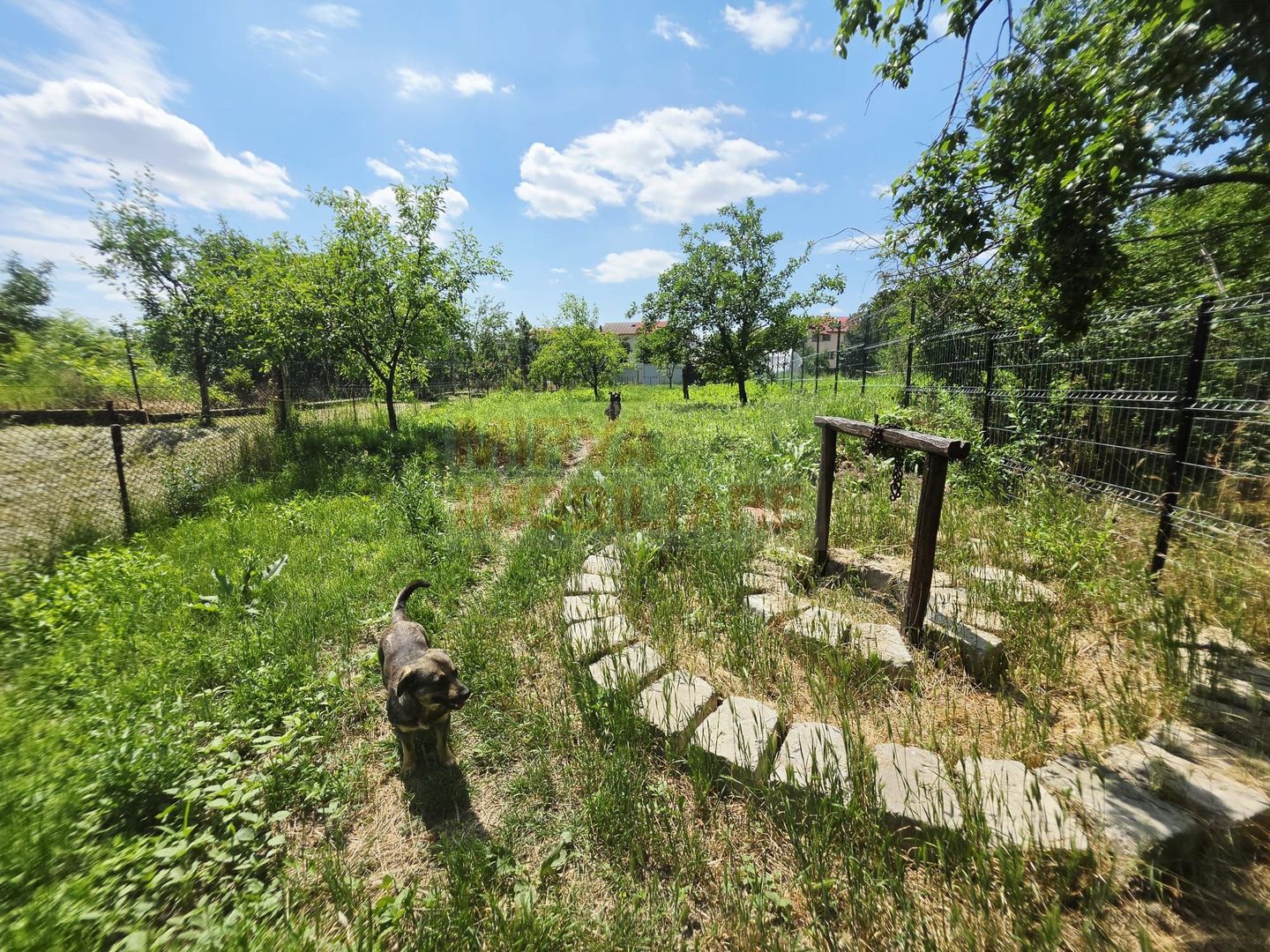 Casa cu teren de 536 mp in Ceptura de Jos - Poză 9