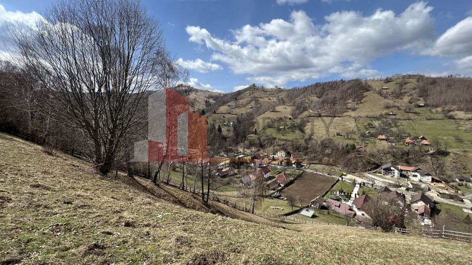 Teren Intravilan 9.194 mp, zona Bran - Simon - Poză 12