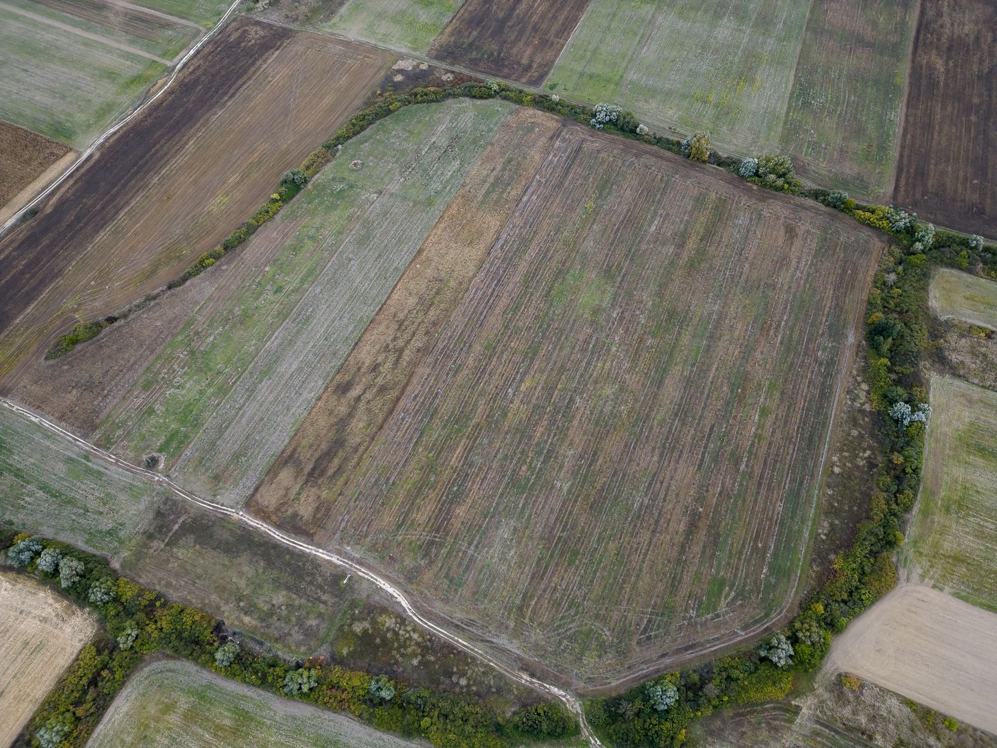 Teren agricol de 34.500mp în Albina, Județul Timiș - Poză 5