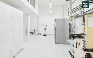 Hală Industrială / Comercială în zonă centrală - Timișoara - Poză 3