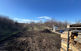 Beregsau Mare-Casa Individuala-Renovata Complet - Poză 20