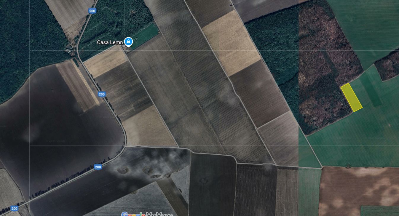 Teren excelent pozitionat cu doua laturi padure - Poză 2