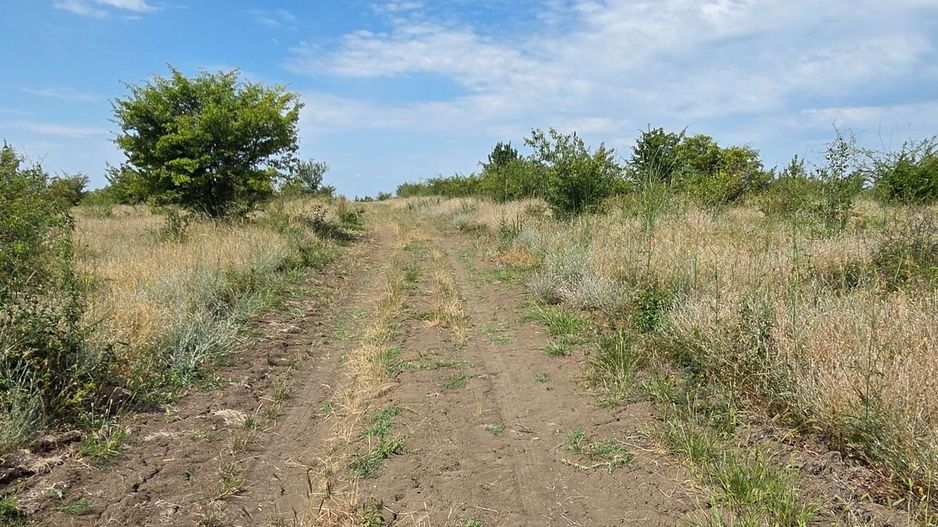 Terenuri extravilane de vanzare in Meteu – 4 loturi individuale - Poză 3