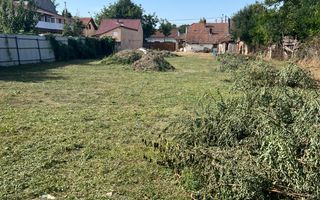 Casa cu teren generos în Timișoara - Poză 1