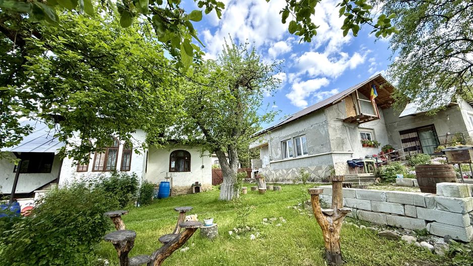 2 Case + teren 1390 mp langa parcul central Provita de Sus - Poză 3