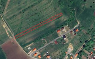 Teren Extravilan de Vânzare – 2.500 mp | Deschidere 64 m | Hamba - Poză 1