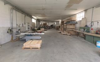 Proprietate industriala la 30 km exterior sud Timisoara - Poză 31