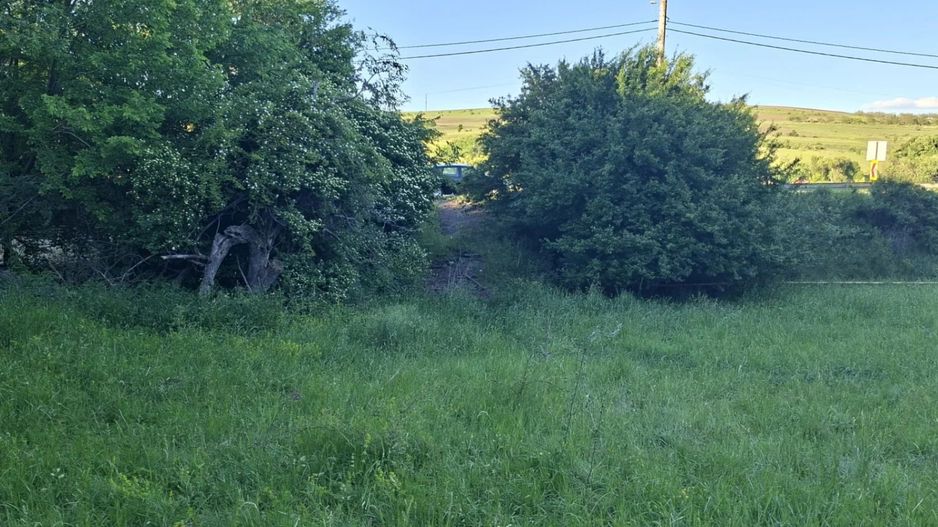 Teren de vanzare in Martinesti - Poză 2