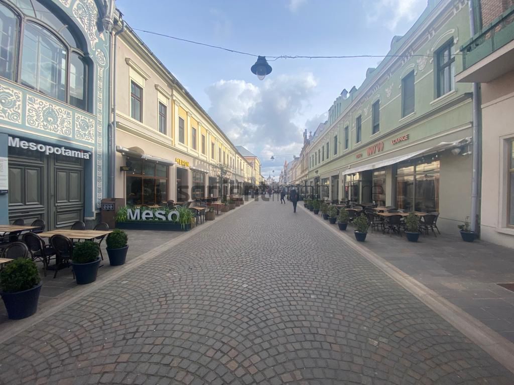 Apartament ultracentral Vasile Alecsandri - Poză 1