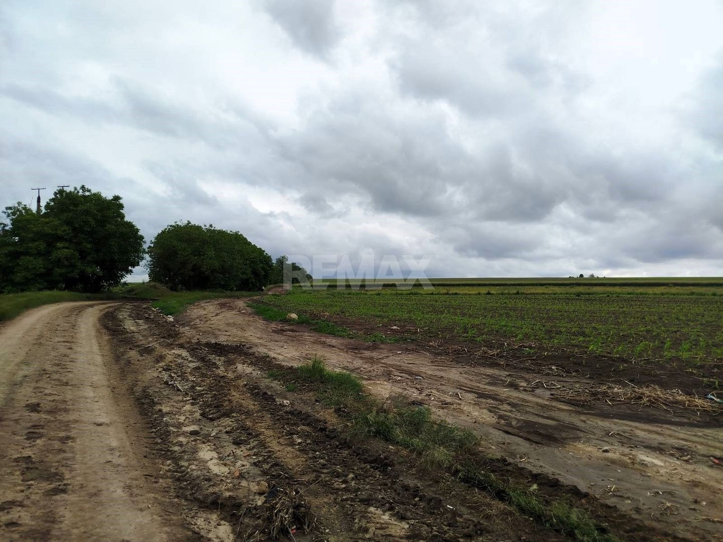 Teren Agricol de Vânzare – 78 Ari în Comuna Răzeni | Investiție cu Potențial! - Poză 4