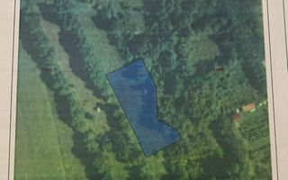 teren 1773 mp | Prahova | Banesti | Urleta | Campina - Poză 5