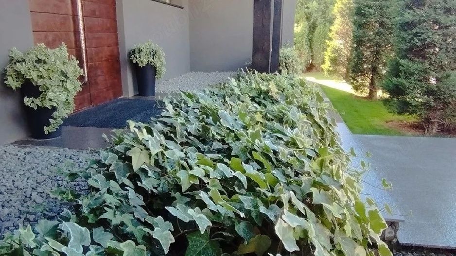 Casă de vânzare Exclusivista - Poză 10