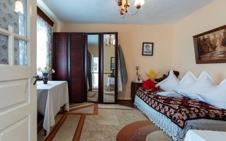 Casa si teren 3365mp Sascut - Poză 8