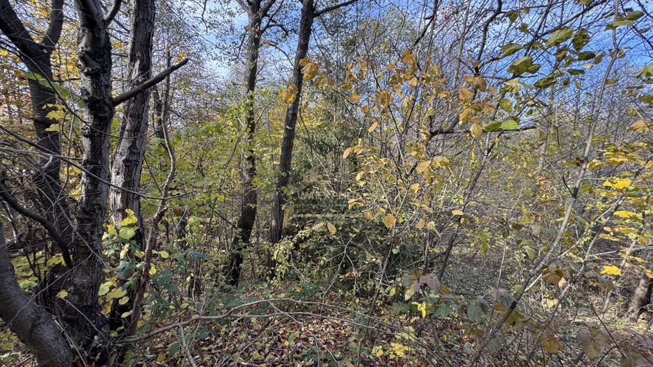 TEREN INTRAVILAN 13167 MP BUGHEA DE SUS ARGES - Poză 23