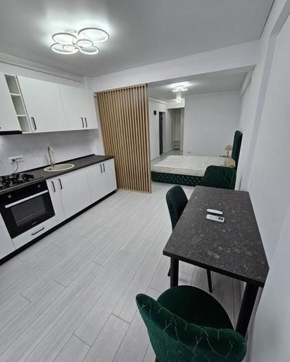 Garsonieră modernă de închiriat Complex TMC Arghezi Park - Poză 3