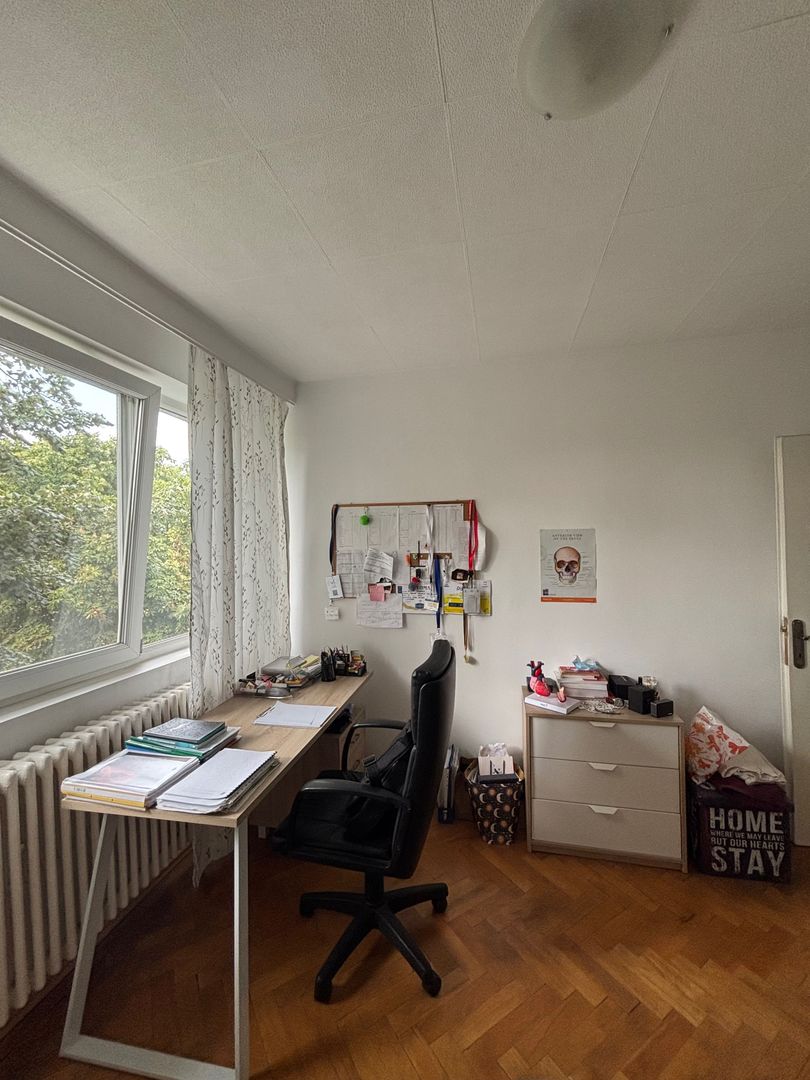 Vanzare Apartament 3 camere , 58 mp, etaj 4/4, metrou Orizont, AFI Cotroceni - Poză 6