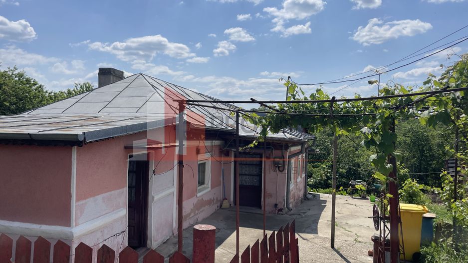 Teren Pipera | Erou Serban Ion - Poză 3