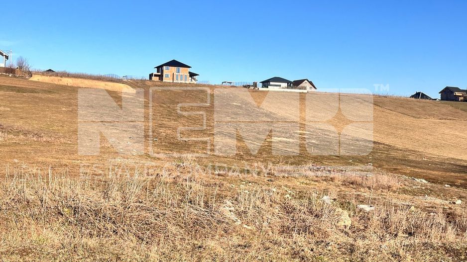 Teren I Suceava I Moara Nica I 2500 Mp I 54.900 Euro - Poză 1