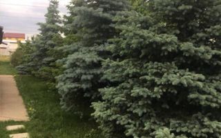 Teren 3200 mp, Hudum, cu toate utilitatile, 145000 euro neg - Poză 4