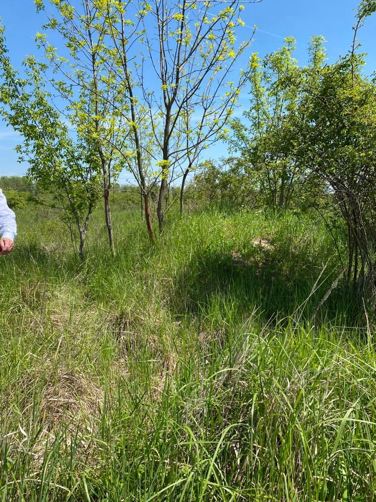 Teren la DN7 - ideal investitie (Benzinarie, spalatorie, hala) - Poză 4