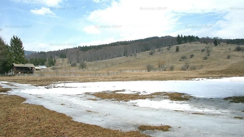 VALEA DOFTANEI - Traisteni, langa Conacul Dascalu, vanzare 2.537 mp. teren - Poză 13