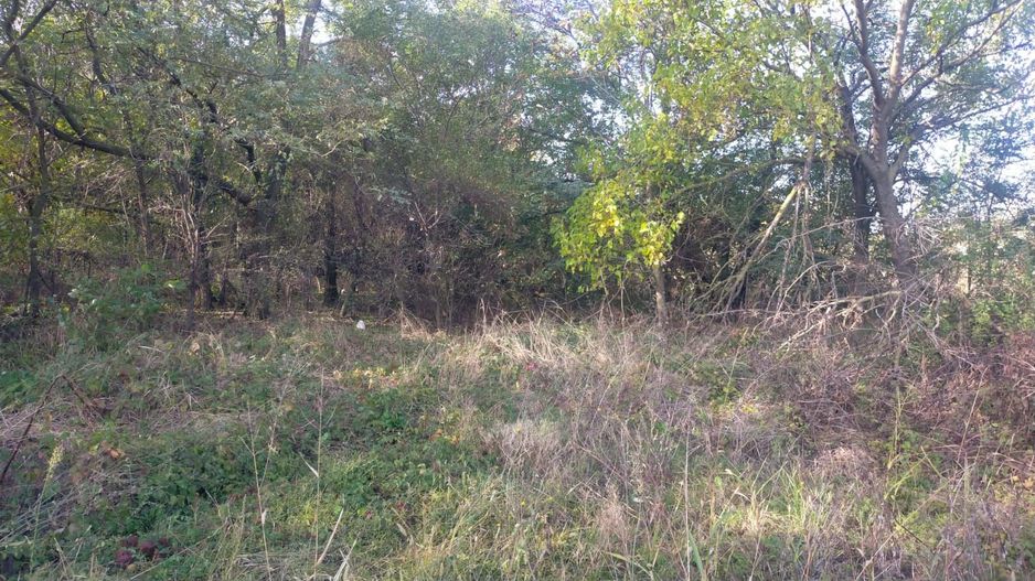 Teren de vânzare în Dascalu, judet Bucuresti Ilfov - Poză 14