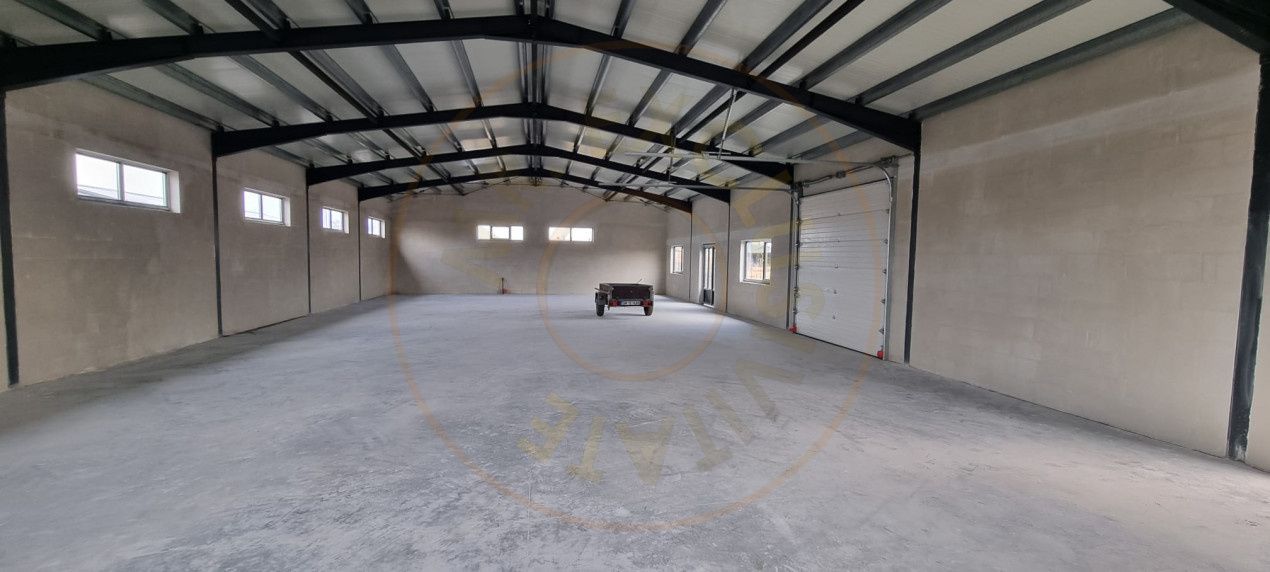 Inchiriere Hală Producție/Depozitare 300 mp, Teren 1791 mp - Carei - Poză 6