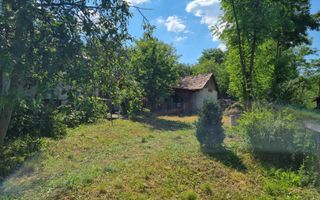 CASĂ LA ȚARĂ, SÂMBOLENI, COMUNA CAMARAȘU - Poză 10