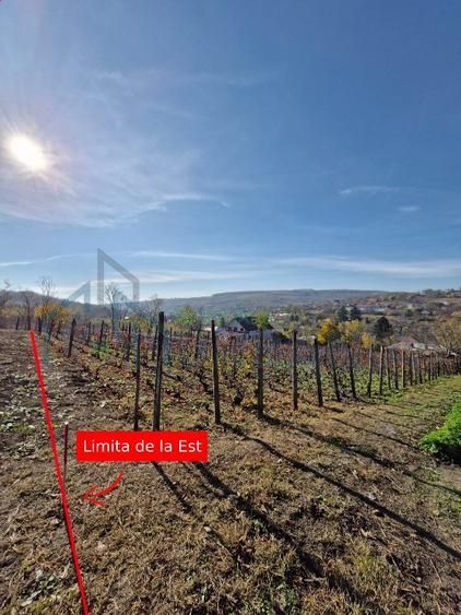🏡 Teren intravilan 1308 mp Rediu | 9 min (5.8km) Copou / 9 min (5.8km) Pacurari - Poză 2