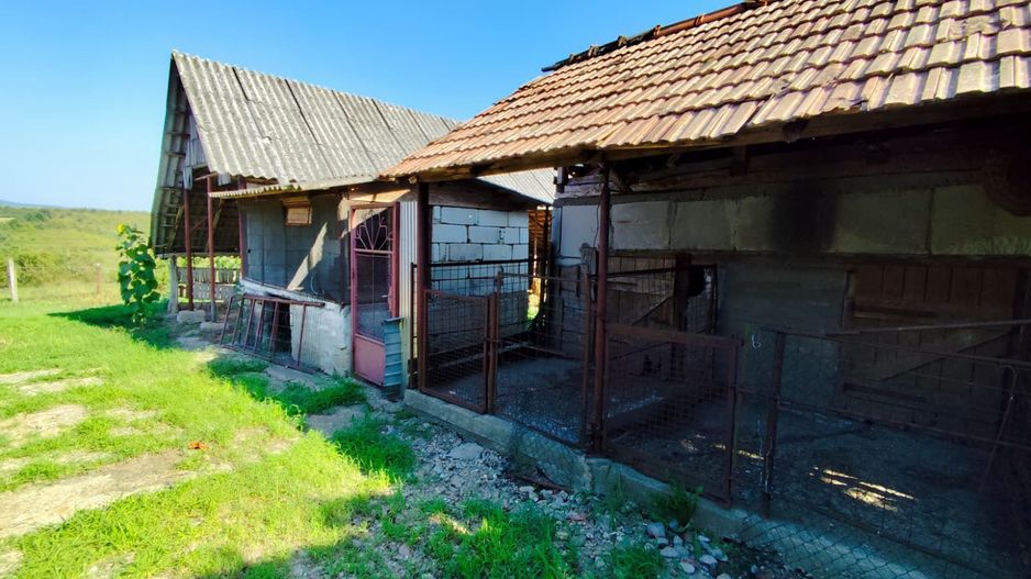 Casa la tara, Calea Mare, Bihor, teren mare, 2 intrari auto – vanzare - Poză 5