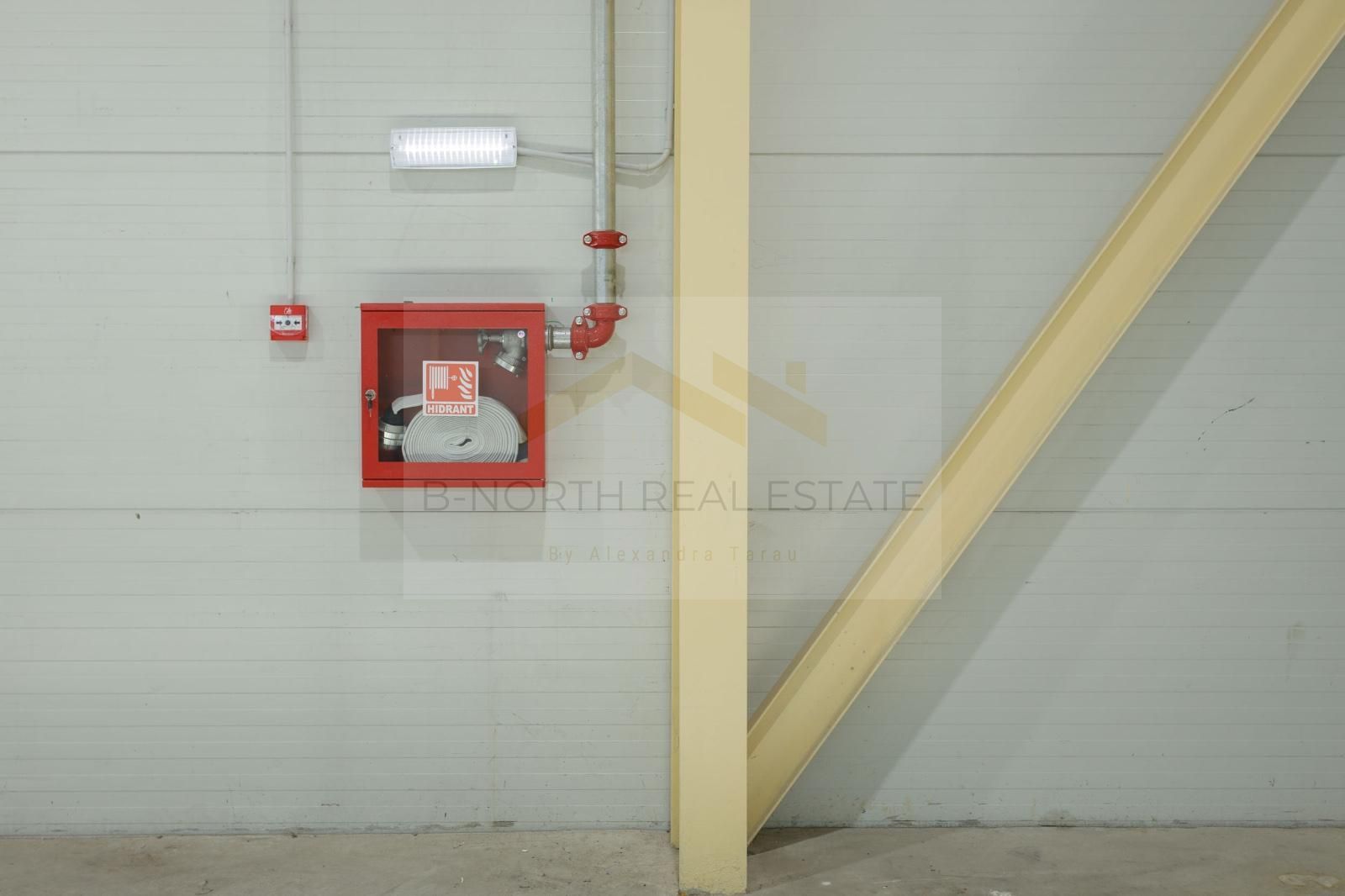 Hală industrială 420 mp Otopeni | Rampe TIR | ISU | Acces DN1 & Centură - Poză 6