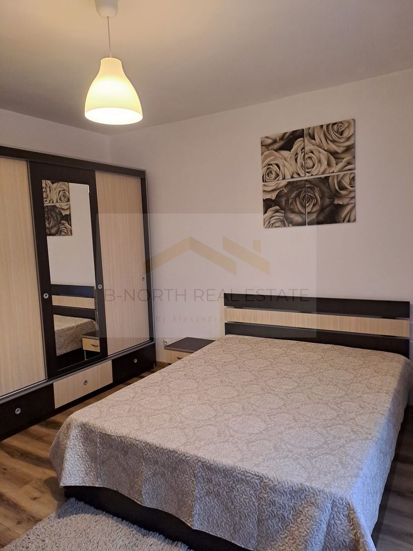 Inchiriere Vila  Drragomiresti Deal - Poză 6