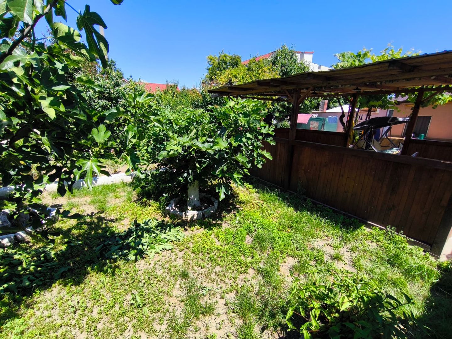 VIILE NOI - casa cu o curte generoasa disponibila imediat - Poză 18