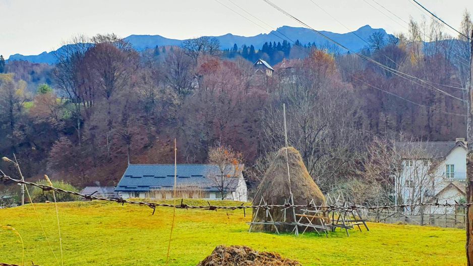 Bran Moeciu, pretabil pensiune sau dezvoltare imobiliară - Poză 8