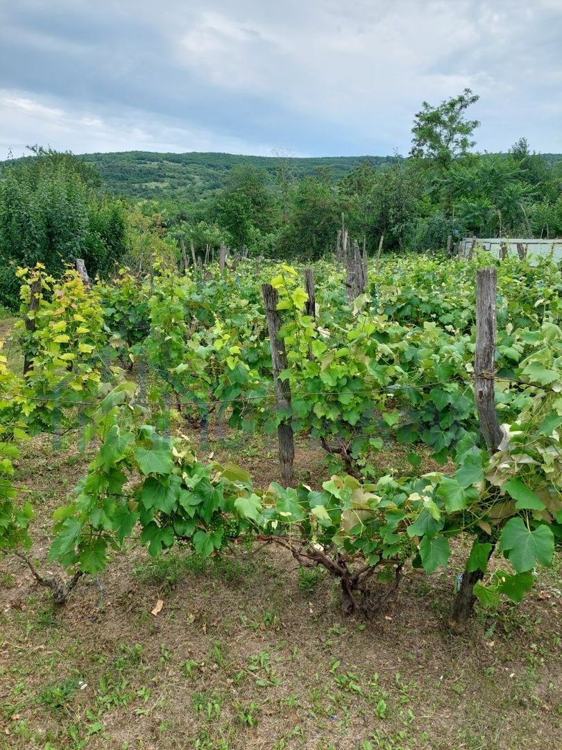 Casă de vânzare, 2 camere, Hilița, Costuleni - Poză 4