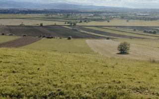 Teren Extravilan - Gușterița, Sibiu - 4600 mp - Poză 3